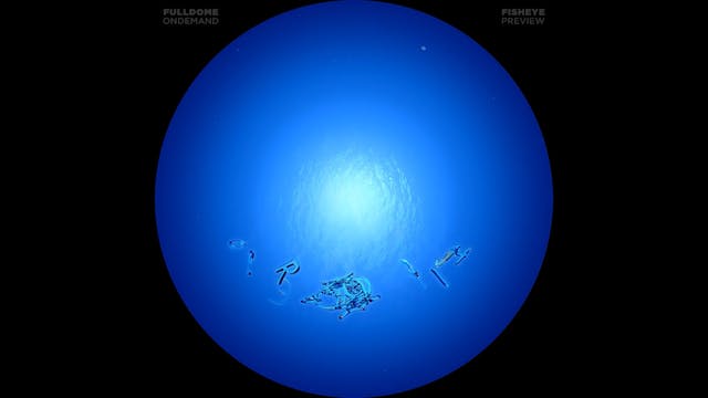 Into_The_Deep_FDOD_1080F_PRE