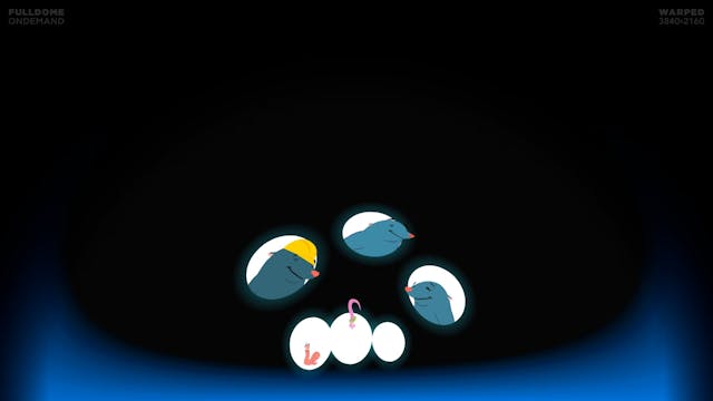 Moles_FDOD_3840W_KOREAN