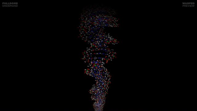 Body_Code_FDOD_1920W_PRE