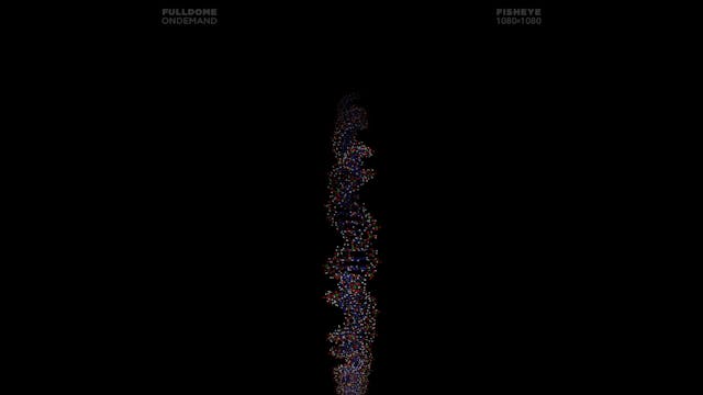 Body_Code_FDOD_1080F_POLISH