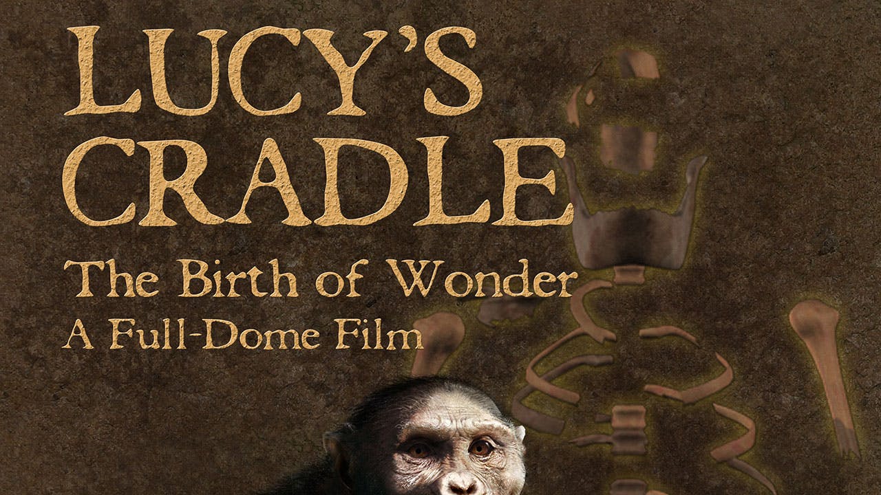 Lucys Cradle [1080F]
