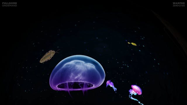 Dinosaurs_FDOD_3840W