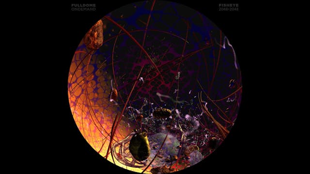 Body_Code_FDOD_2048F_LITHUANIAN