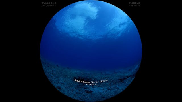 Wayfinders_FDOD_1080F_PRE