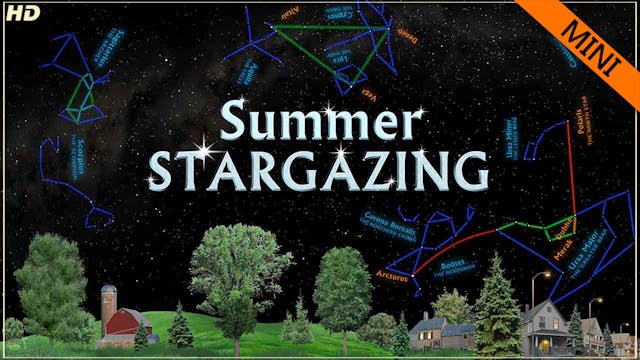 SSG summer mini - HD