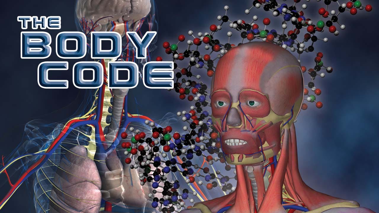 The Body Code - Spanish