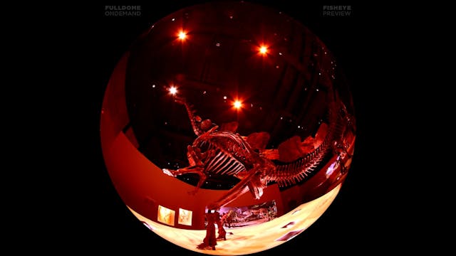 Death_Of_The_Dinosaurs_FDOD_1080F_PRE