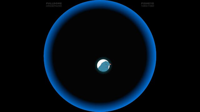 Moles_FDOD_1080F_KOREAN