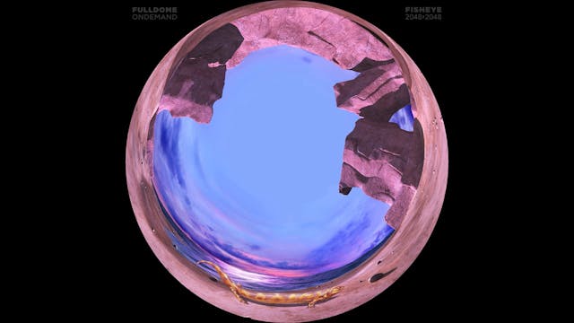 Dinosaurs_FDOD_2048F_SPANISH