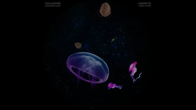 Dinosaurs_FDOD_1080F