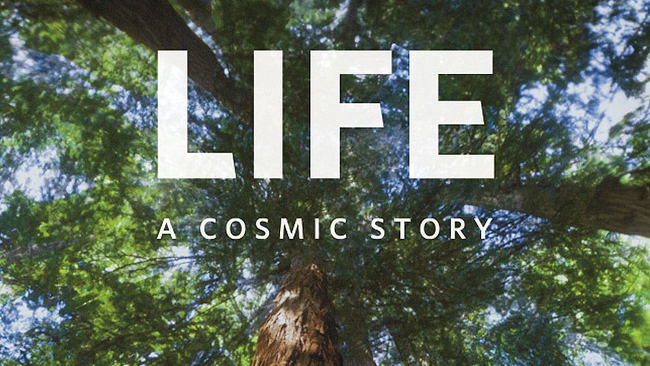 Life A Cosmic Story [3840W]