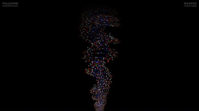 Body_Code_FDOD_1920W_SLOVAKIAN