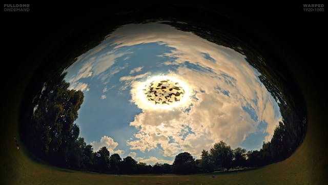 Dimensions_Once_Upon_Our_Reality_FDOD_1920W