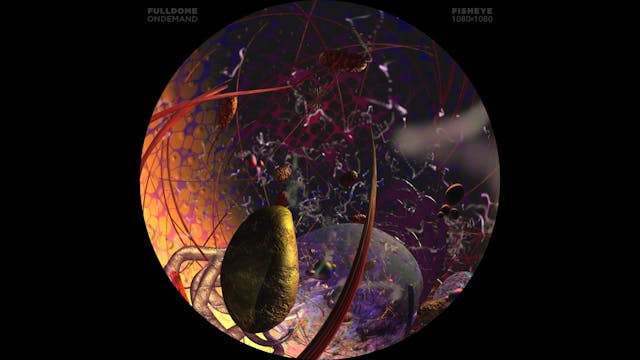 Body_Code_FDOD_1080F_SLOVAKIAN