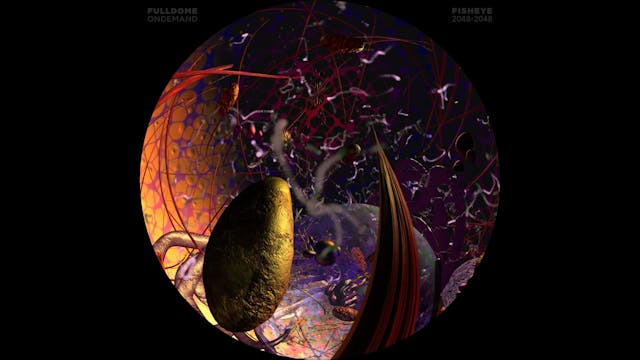 Body_Code_FDOD_2048F