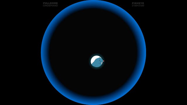 Moles_FDOD_2160F_CZECH