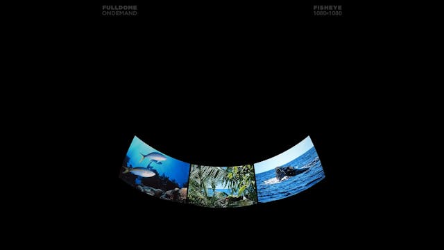 Oceans_In_Space_FDOD_1080F_ARABIC