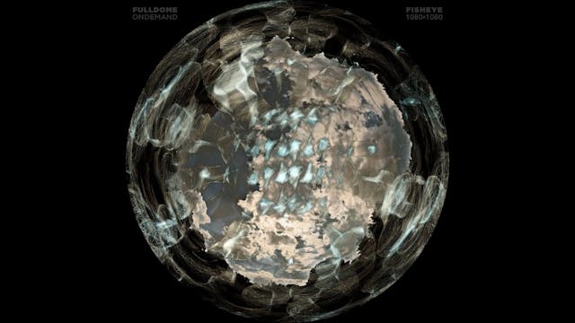 Dimensions_Once_Upon_Our_Reality_FDOD_1080F