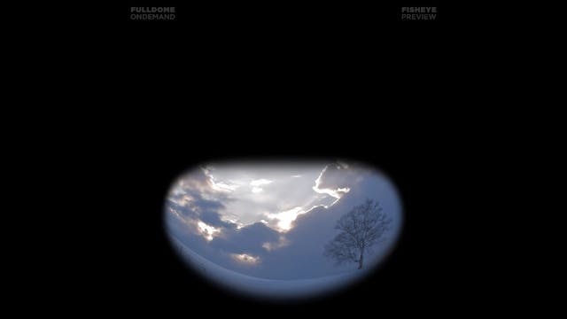 Musica_FDOD_1080F_PRE