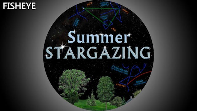SSG Summer - fisheye