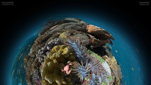 Expedition_Reef_FDOD_3840W