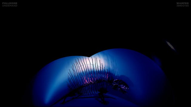 Death_Of_The_Dinosaurs_FDOD_3840W