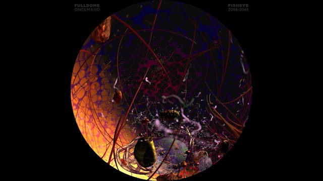 Body_Code_FDOD_2048F_PORTUGUESE