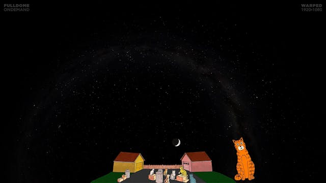 Larry_Cat_In_Space_FDOD_1920W_PORTUGUESE