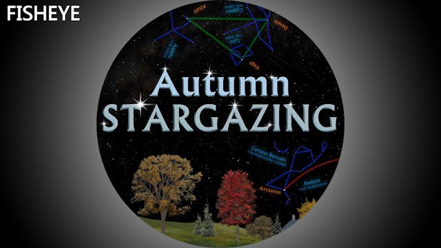 SSG Autumn - fisheye