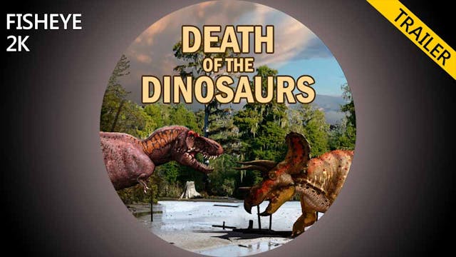 DOTD trailer - fisheye 2k