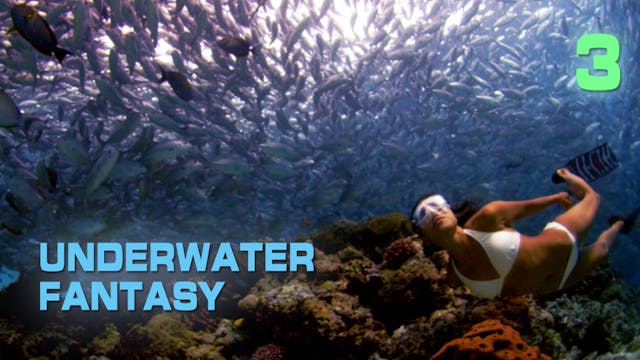 UWF3 show - prewarped