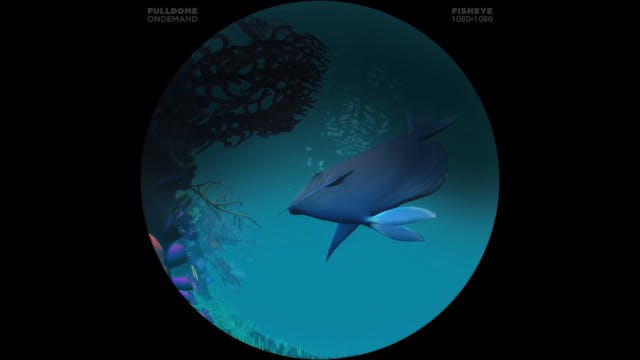 Apollo_And_Beyond_FDOD_1080F_HINDI