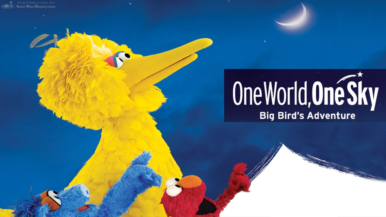 One World One Sky