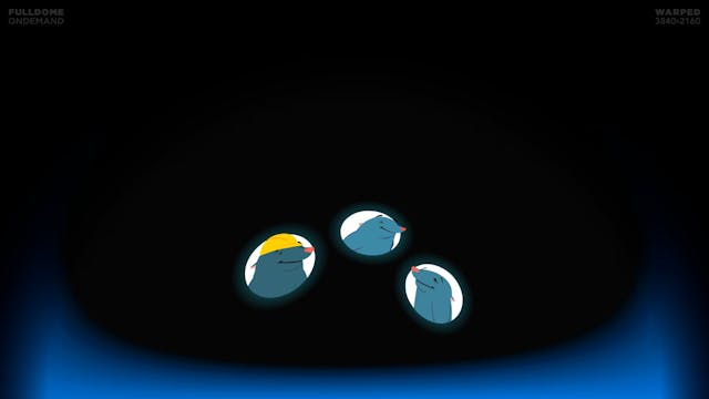 Moles_FDOD_3840W_CZECH