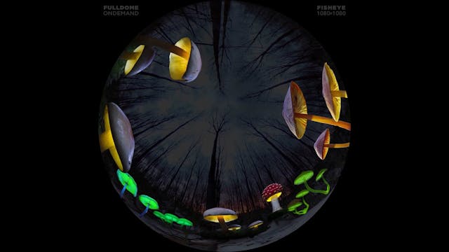 Dinosaurs_FDOD_1080F_SPANISH