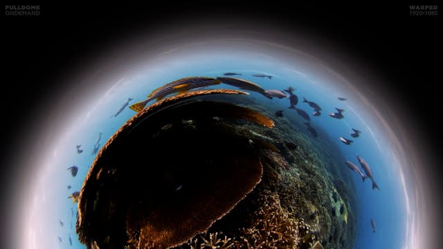 Underwater_Fantasy_3_FDOD_1920W