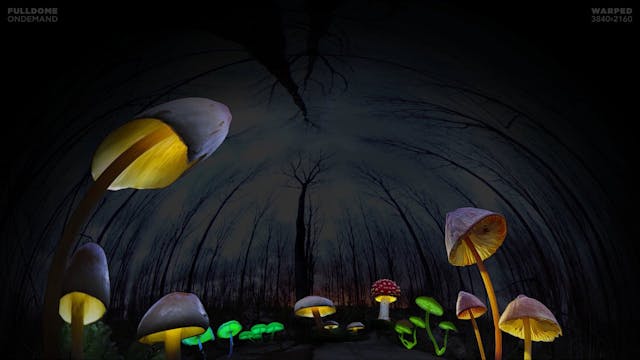 Dinosaurs_FDOD_3840W_SPANISH