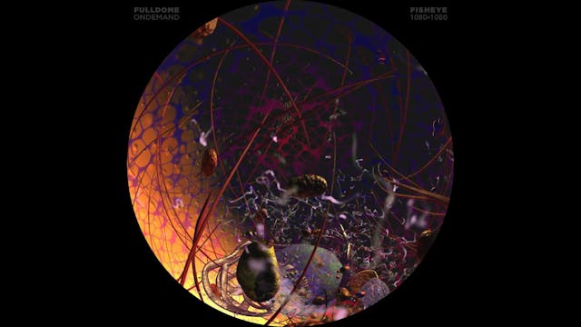 Body_Code_FDOD_1080F_RUSSIAN