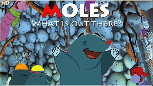 MOLES show - HD