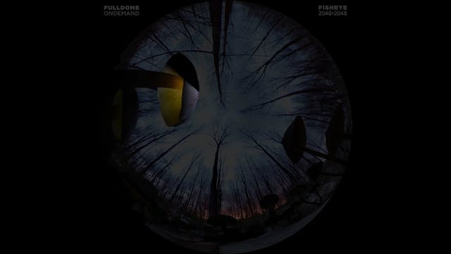 Dinosaurs_FDOD_2048F