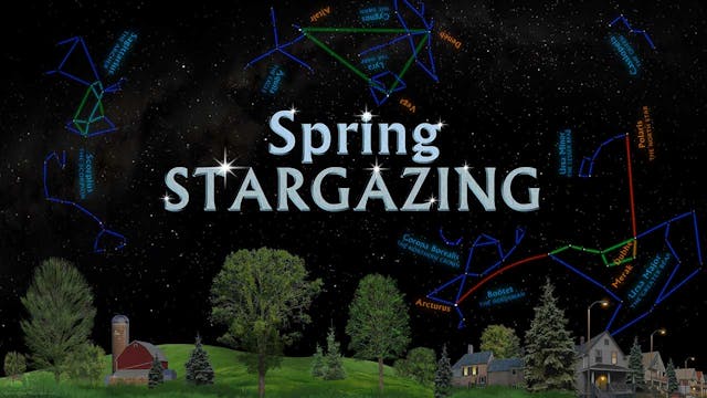 SSG Spring - prewarped