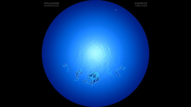 Into_The_Deep_FDOD_1080F