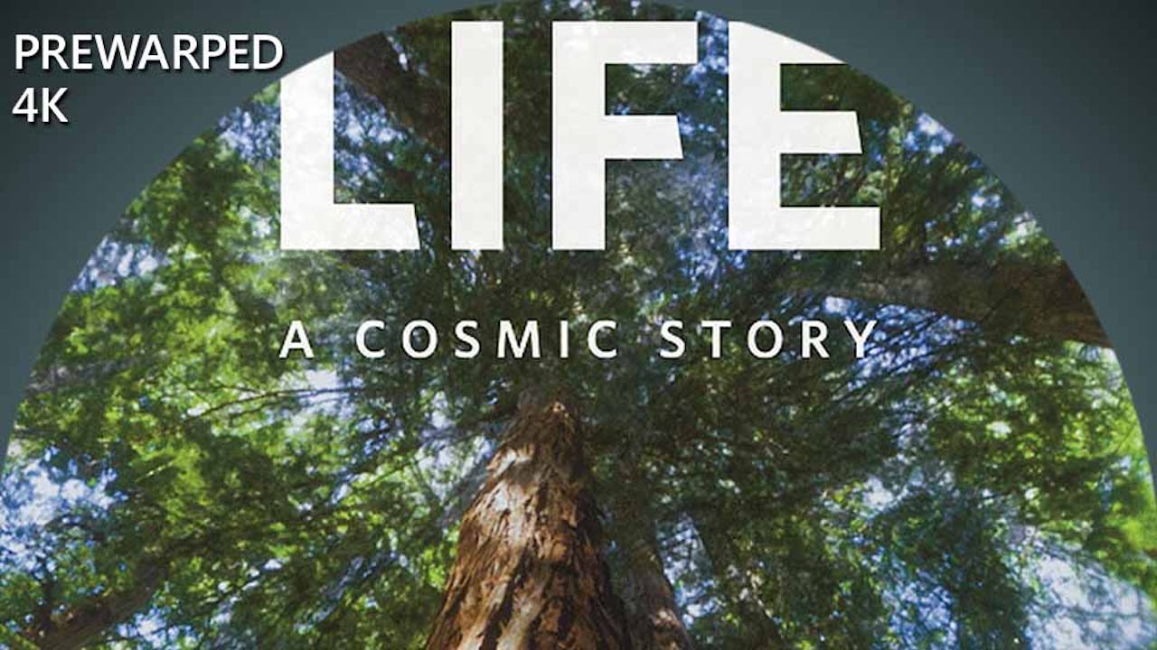 Life: A Cosmic Story - 4k