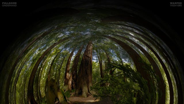 Life_A_Cosmic_Story_FDOD_1920W