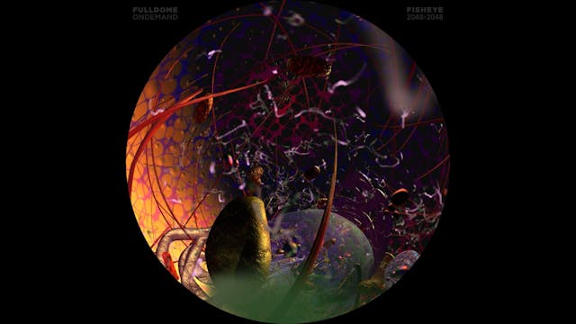 Body_Code_FDOD_2048F_ARABIC