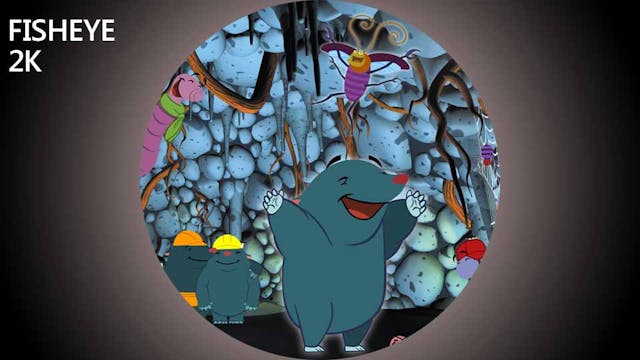 MOLES show - fisheye 2k