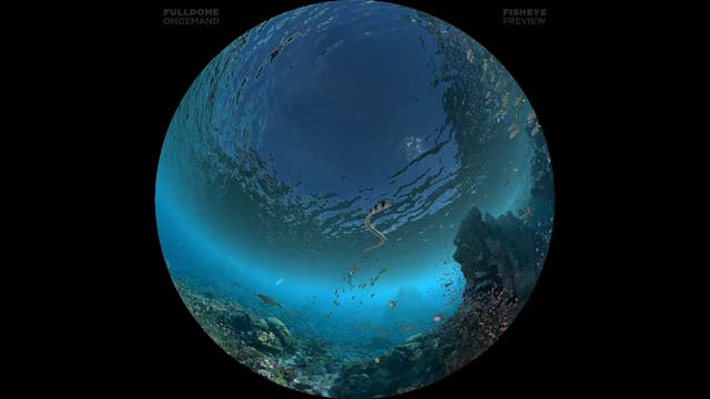 Expedition_Reef_FDOD_1080F_PRE