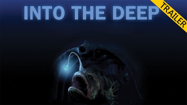 ITD trailer - prewarped