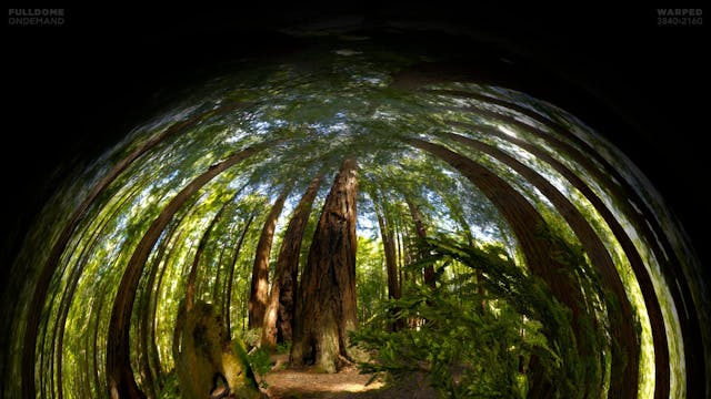 Life_A_Cosmic_Story_FDOD_3840W