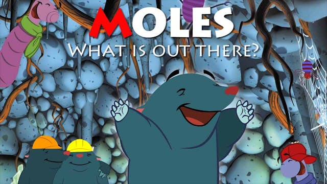 MOLES show - prewarped